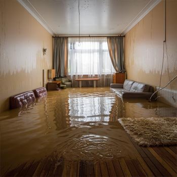 My Philadelphia Water Damage Restoration